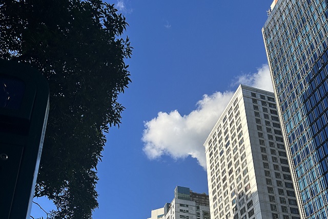 经营沙特公司涉及的税种咨询服务