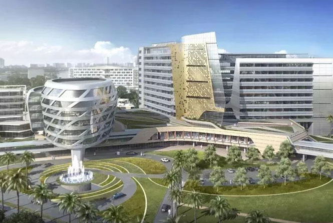 迪拜公司注销的标准流程解析