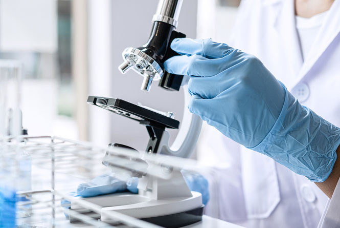 阿联酋本土公司全外资持股政策解析与实操指南