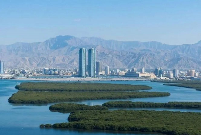 哈伊马角经济区.jpg 哈伊马角经济区.jpg